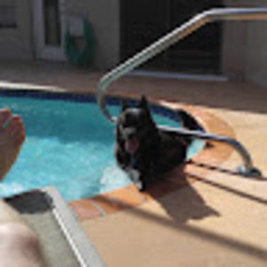 Meet your Posher, Brian